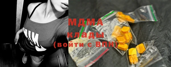 индика Белокуриха
