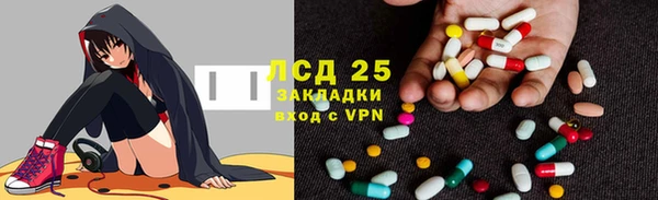 индика Белокуриха