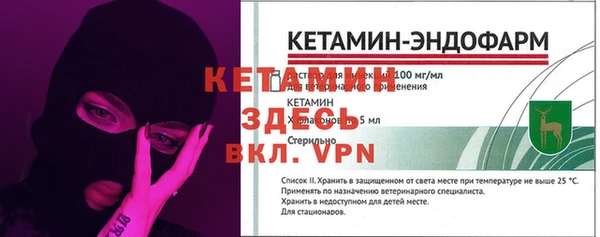 индика Белокуриха