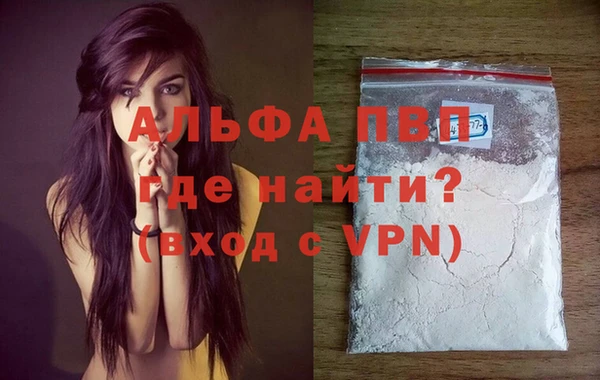 индика Белокуриха