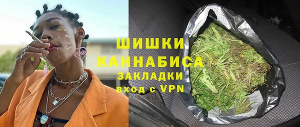 индика Белокуриха