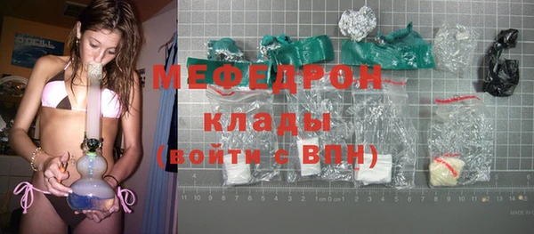 индика Белокуриха