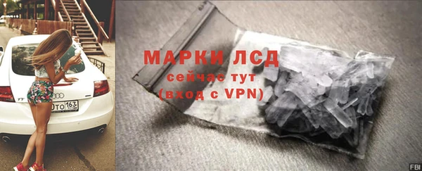 индика Белокуриха