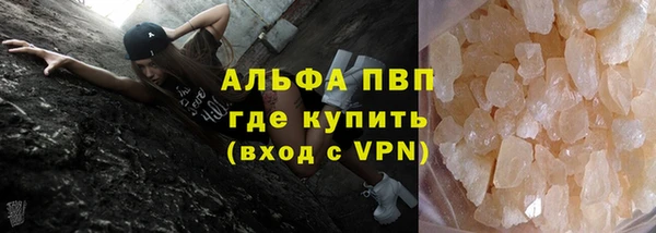 индика Белокуриха